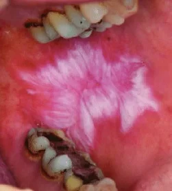 photo_2026-02-01_16-23-56